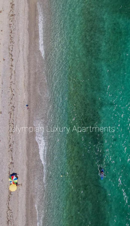 Appartement Olympian Luxury *